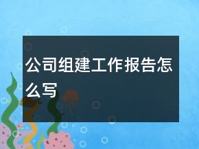 公司組建工作報告怎么寫
