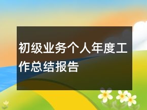 初級(jí)業(yè)務(wù)個(gè)人年度工作總結(jié)報(bào)告