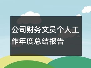 公司財務文員個人工作年度總結報告