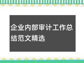 企業(yè)內部審計工作總結范文精選