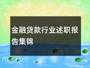 金融貸款行業(yè)述職報(bào)告集錦