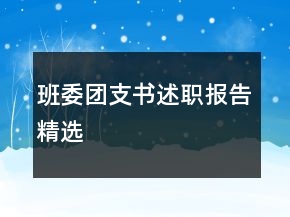 班委團支書述職報告精選