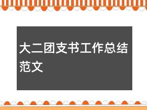 大二團(tuán)支書工作總結(jié)范文
