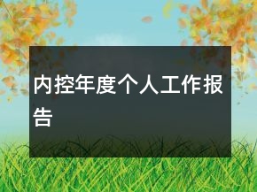 內控年度個人工作報告