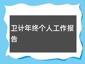 衛(wèi)計年終個人工作報告