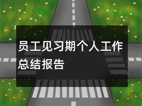 員工見習(xí)期個(gè)人工作總結(jié)報(bào)告