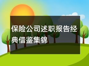 保險(xiǎn)公司述職報(bào)告經(jīng)典借鑒集錦