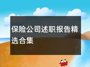 保險公司述職報告精選合集