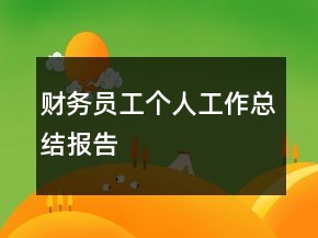 財務(wù)員工個人工作總結(jié)報告