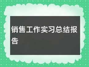銷售工作實習(xí)總結(jié)報告