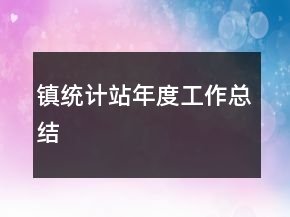 鎮(zhèn)統(tǒng)計站年度工作總結(jié)