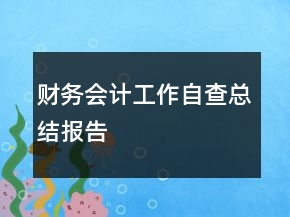 財務(wù)會計工作自查總結(jié)報告