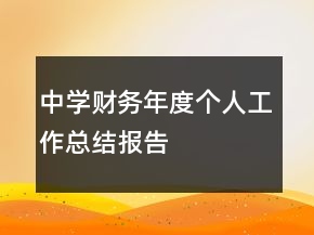 中學(xué)財務(wù)年度個人工作總結(jié)報告