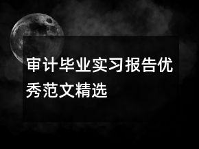 審計(jì)畢業(yè)實(shí)習(xí)報(bào)告優(yōu)秀范文精選