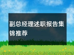 副總經(jīng)理述職報告集錦推薦