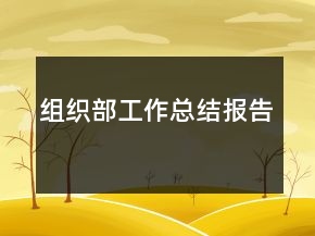 組織部工作總結(jié)報告