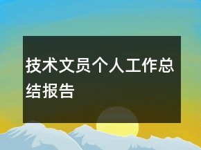 技術(shù)文員個人工作總結(jié)報告
