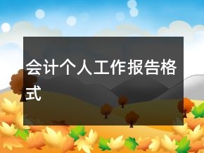 會計個人工作報告格式
