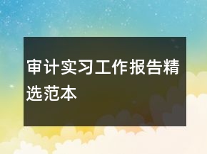 審計實習工作報告精選范本