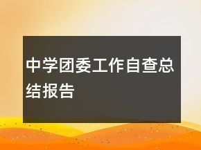 中學(xué)團(tuán)委工作自查總結(jié)報(bào)告