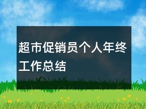 超市促銷員個人年終工作總結(jié)