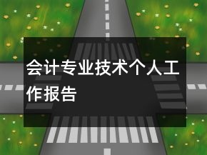 會計專業(yè)技術個人工作報告
