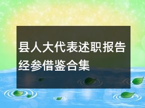 縣人大代表述職報告經(jīng)參借鑒合集