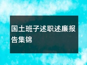 國(guó)土班子述職述廉報(bào)告集錦