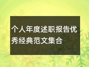 個(gè)人年度述職報(bào)告優(yōu)秀經(jīng)典范文集合
