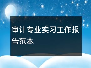 審計(jì)專業(yè)實(shí)習(xí)工作報(bào)告范本