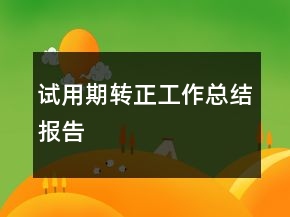 試用期轉(zhuǎn)正工作總結(jié)報告