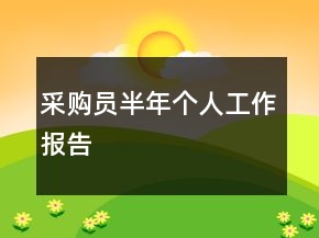 采購員半年個人工作報告