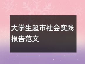 大學生超市社會實踐報告范文