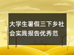 大學(xué)生暑假三下鄉(xiāng)社會(huì)實(shí)踐報(bào)告優(yōu)秀范文
