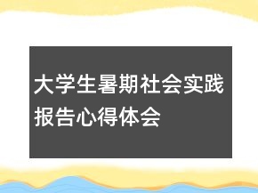 大學(xué)生暑期社會實踐報告心得體會