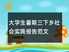 大學(xué)生暑期三下鄉(xiāng)社會(huì)實(shí)踐報(bào)告范文