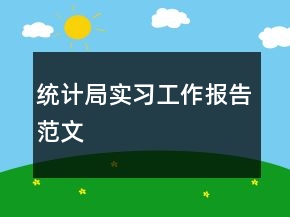 統(tǒng)計局實習工作報告范文