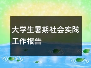 大學(xué)生暑期社會實踐工作報告