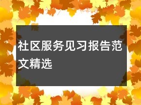 社區(qū)服務(wù)見習(xí)報告范文精選