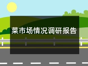菜市場情況調(diào)研報告