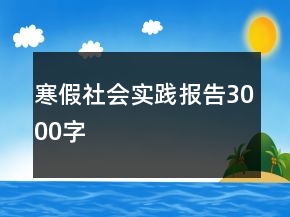 寒假社會(huì)實(shí)踐報(bào)告3000字