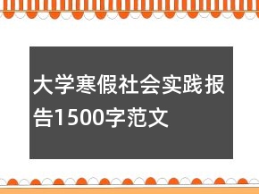 大學寒假社會實踐報告1500字范文