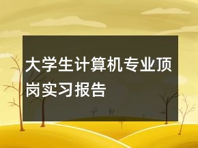 大學生計算機專業(yè)頂崗實習報告