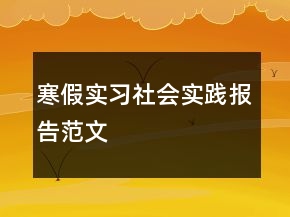 寒假實習(xí)社會實踐報告范文