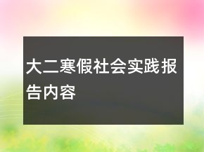 大二寒假社會(huì)實(shí)踐報(bào)告內(nèi)容