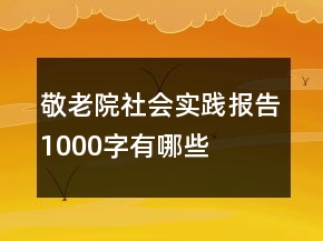 敬老院社會(huì)實(shí)踐報(bào)告1000字有哪些