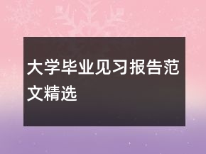 大學(xué)畢業(yè)見習(xí)報(bào)告范文精選
