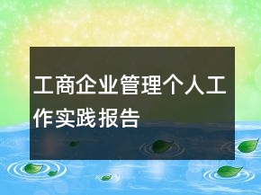 工商企業(yè)管理個(gè)人工作實(shí)踐報(bào)告