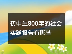 初中生800字的社會(huì)實(shí)踐報(bào)告有哪些