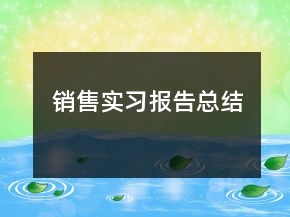 銷售實習(xí)報告總結(jié)